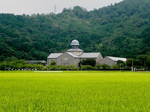 s-20120810 azuchi (2).jpg
